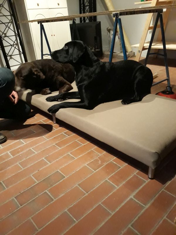 Hundesofa4