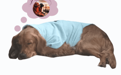 Warum ich es liebe Hundesachen selber zu machen