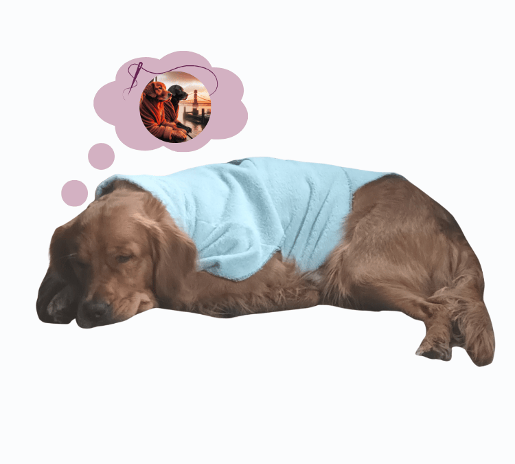Warum ich es liebe Hundesachen selber zu machen