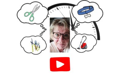 Hinter den Kulissen: Mein Weg zum ersten YouTube-Video